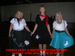 Poodle Skirt Gallery